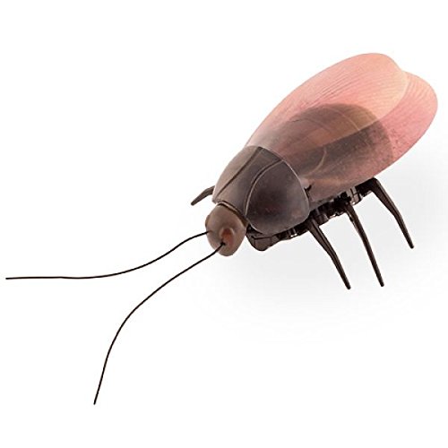 mini-robot-escarabajo-fluorescente mini-robot-escarabajo-fluorescente