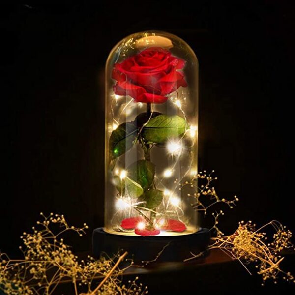 rosa-bella-bestia rosa-bella-bestia