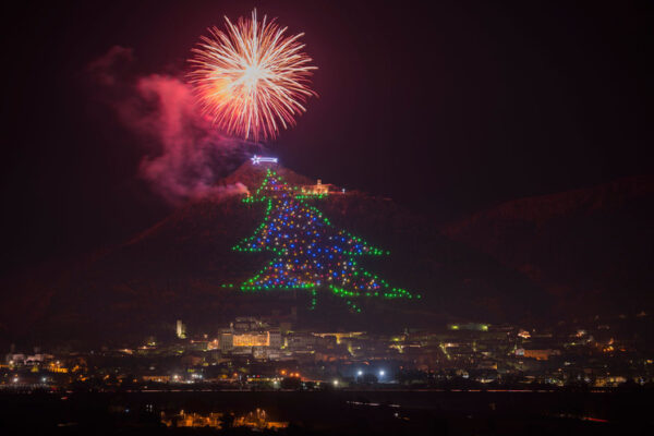 arbol-navidad-grande arbol-navidad-grande