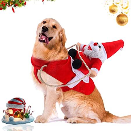 traje-papa-noel-perro
