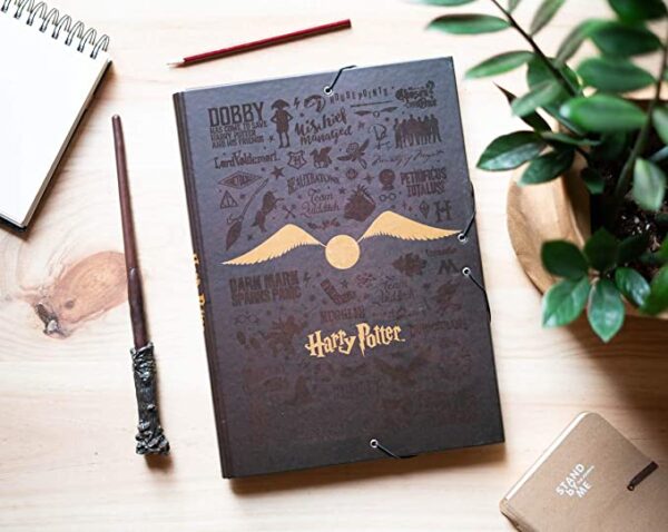 carpeta-gafas-harry-potter carpeta-gafas-harry-potter